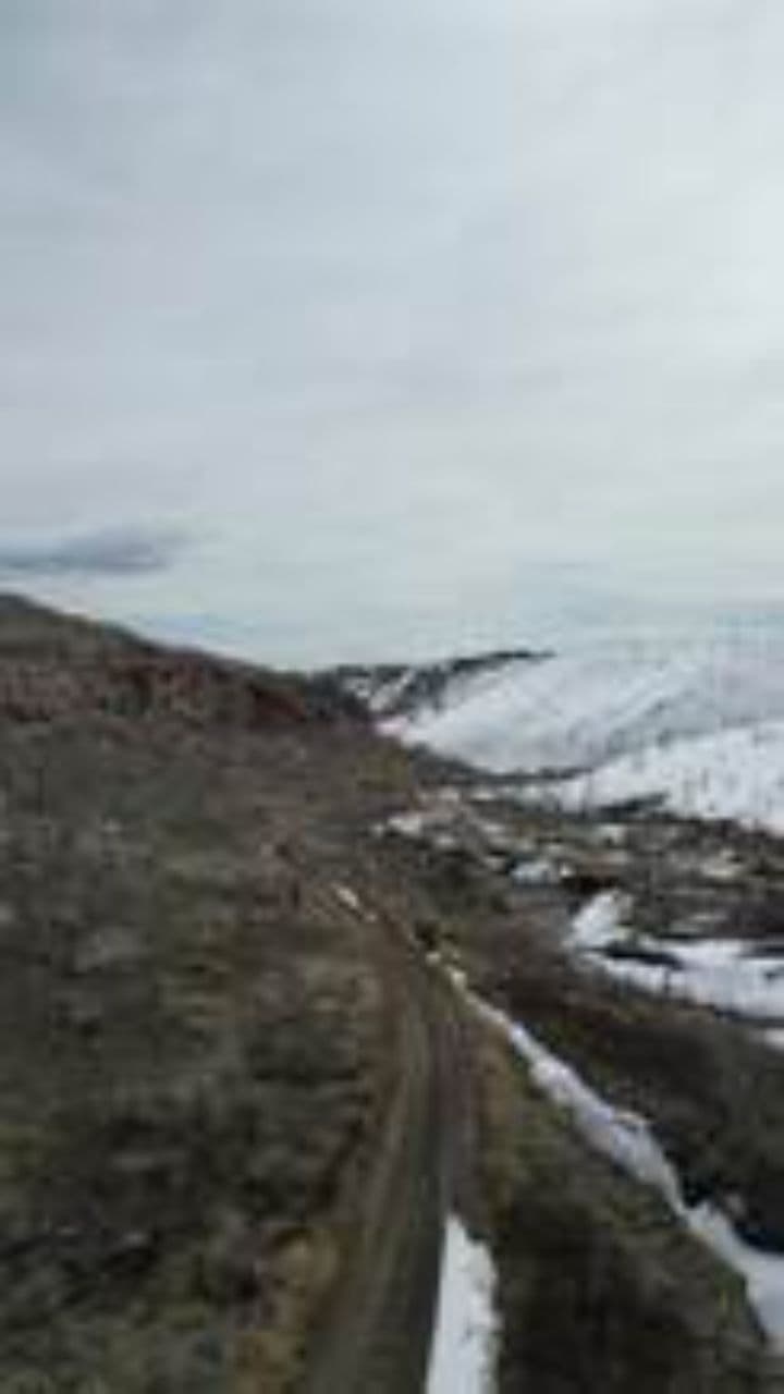 مشروع كلاب التحكم عن بعد