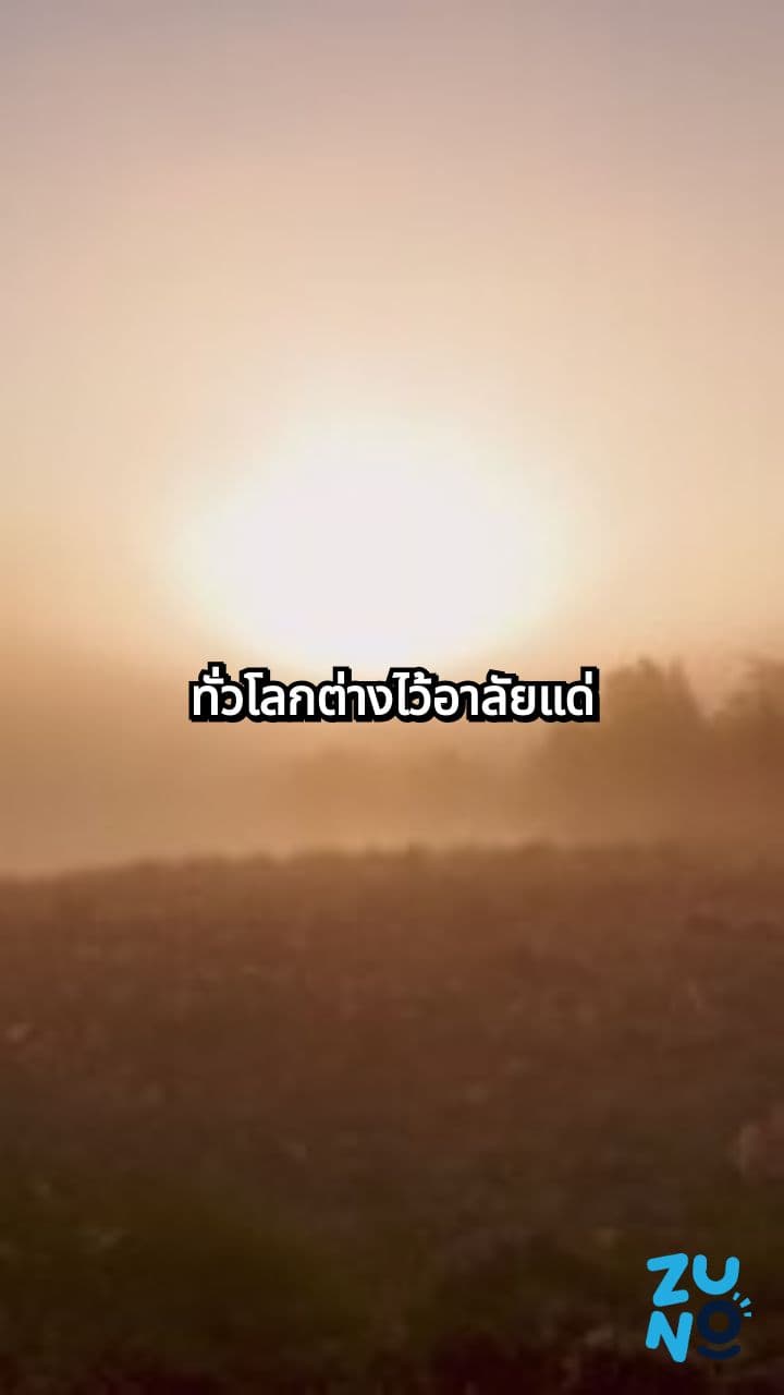 คำ Tribute หลายหลากหลั่งดาลให้กับ เจน กูดอล