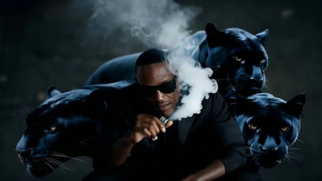 Image transform video