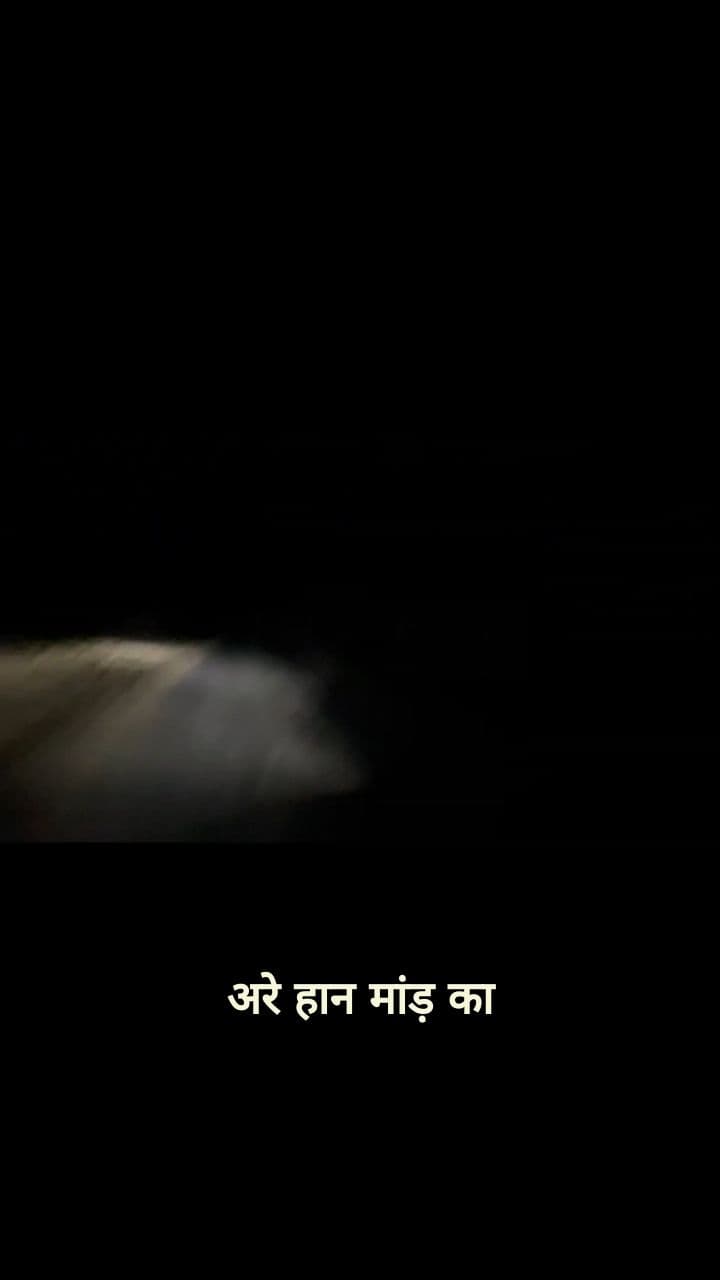 पहाड़ों में जंगली डांस!