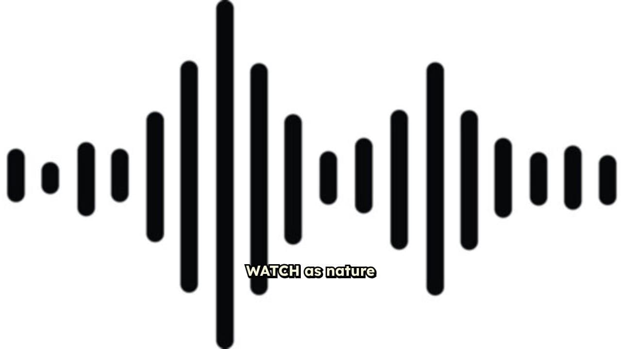 Stunning Sunrise Transformation