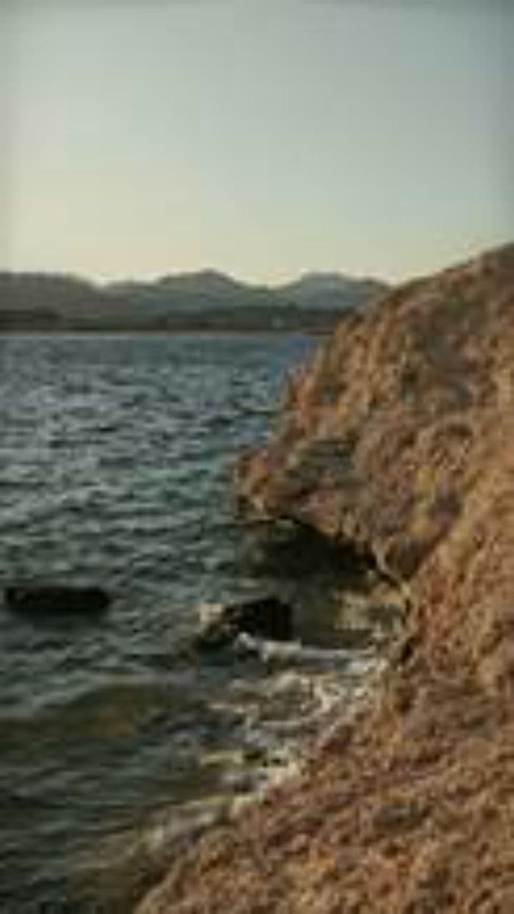 Человеку нужен океан