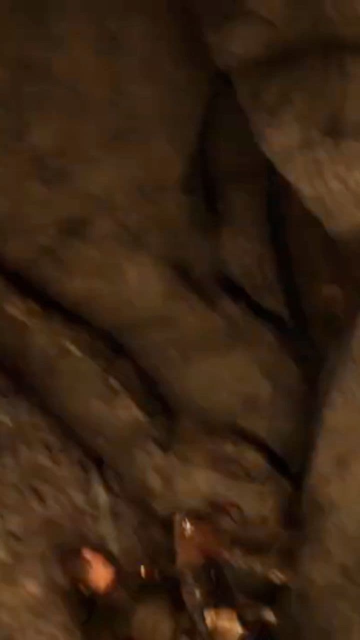 ऑपरेशन छछूंदर: स्पाई मूवी का मजाक