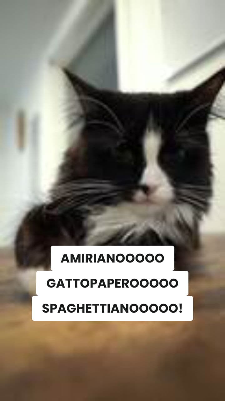 Gattopapero Spaghettiano's Pool Party