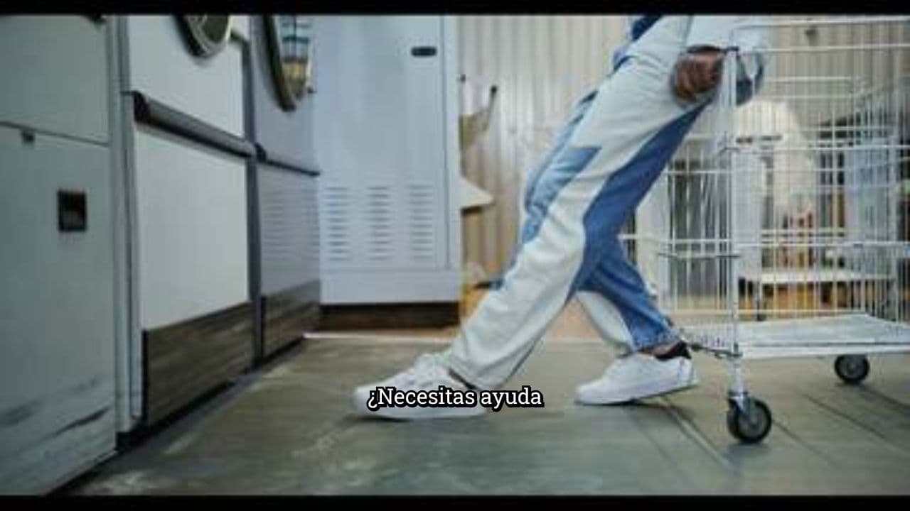 Asistencia en Lavandería WashZone