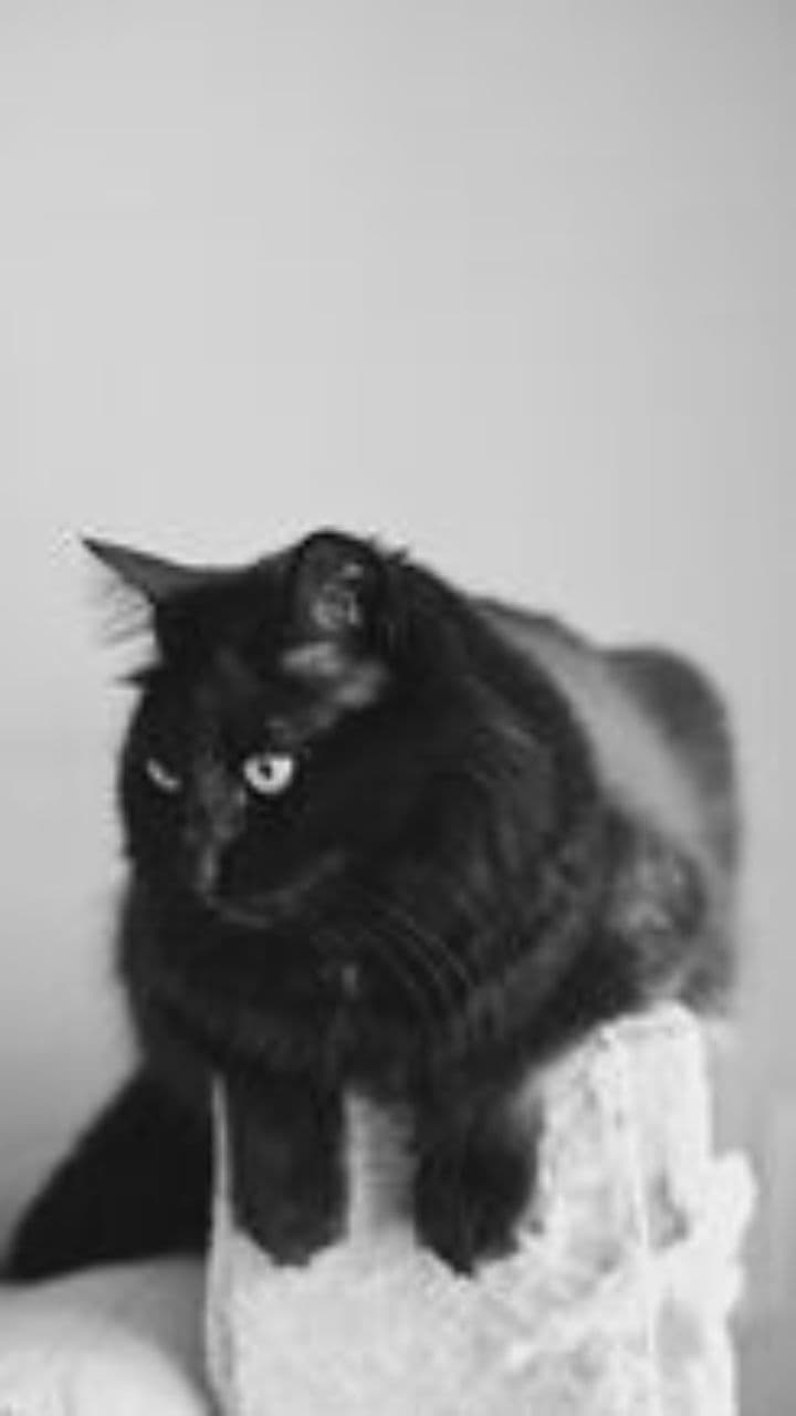 La force de se relever