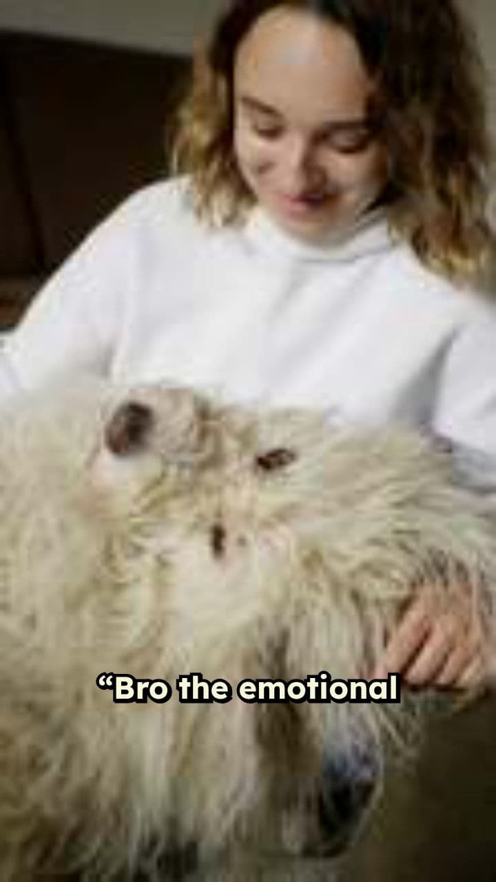 Pet Betrayal: The Emotional Damage