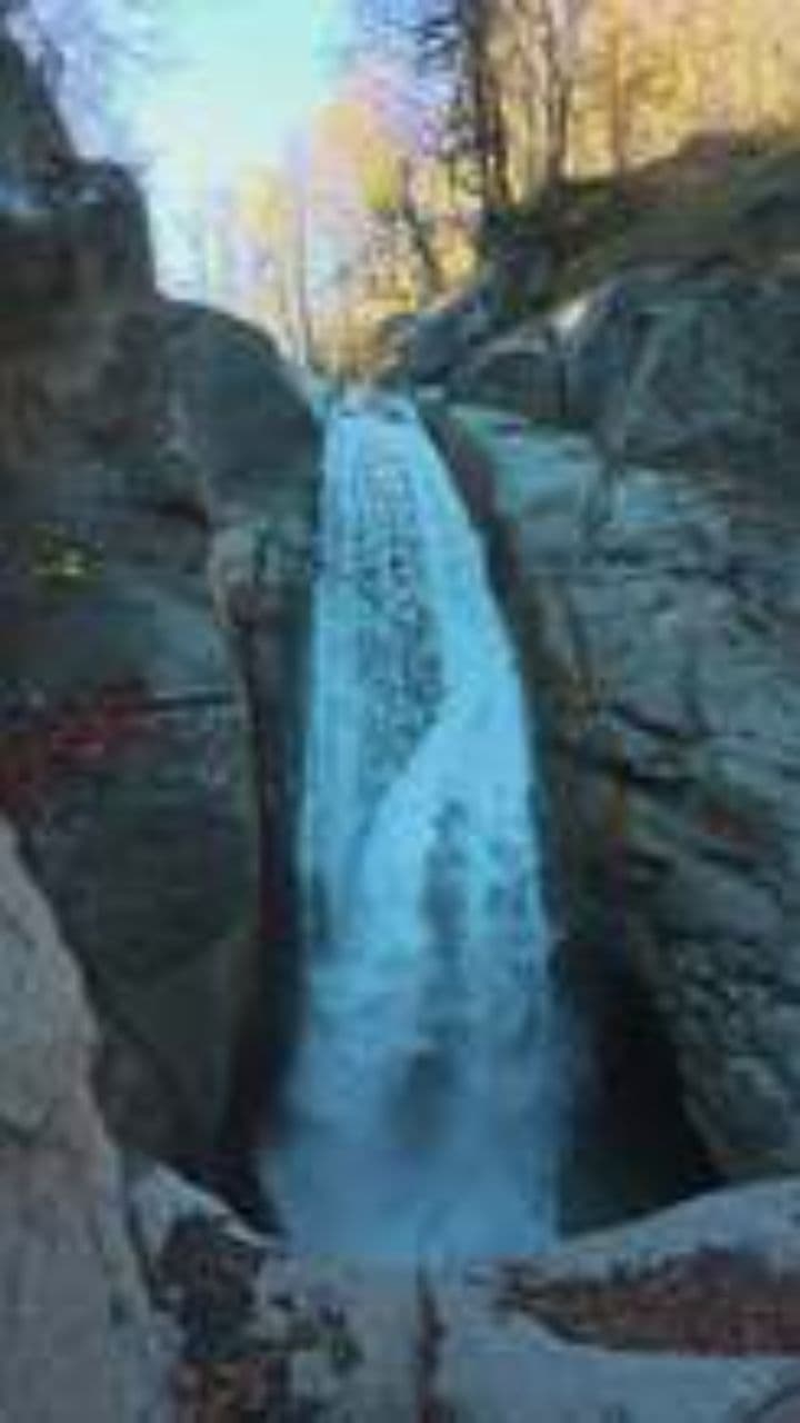 Unidentified Threats: A Disturbing Encounter