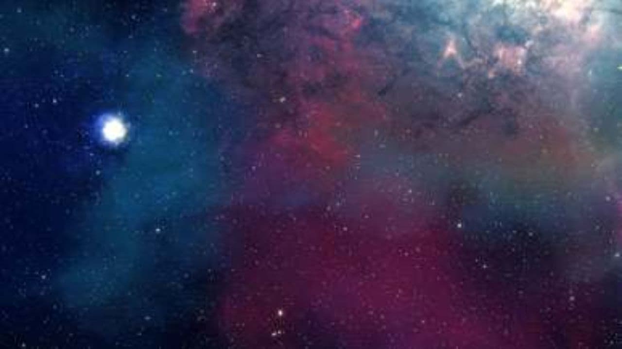 Camino hacia el futuro