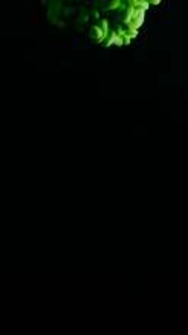 Cocorișii și aventurile lor