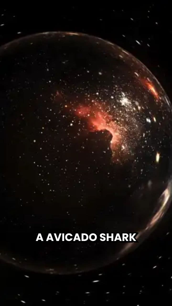 Avocadini Tralala's Great Escape