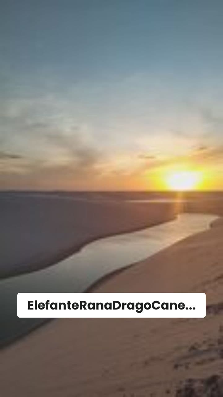 Le Avventure di ElefanteRanaDragoCane nel Deserto