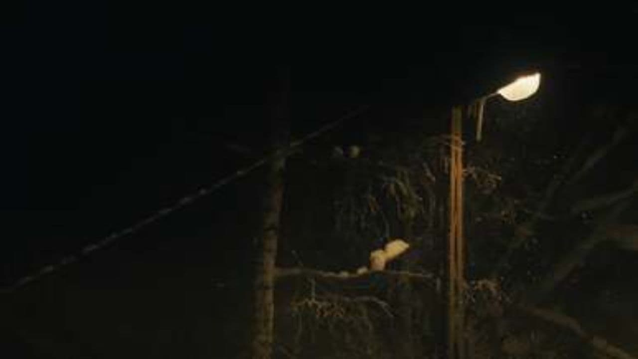 Letting Go This Winter