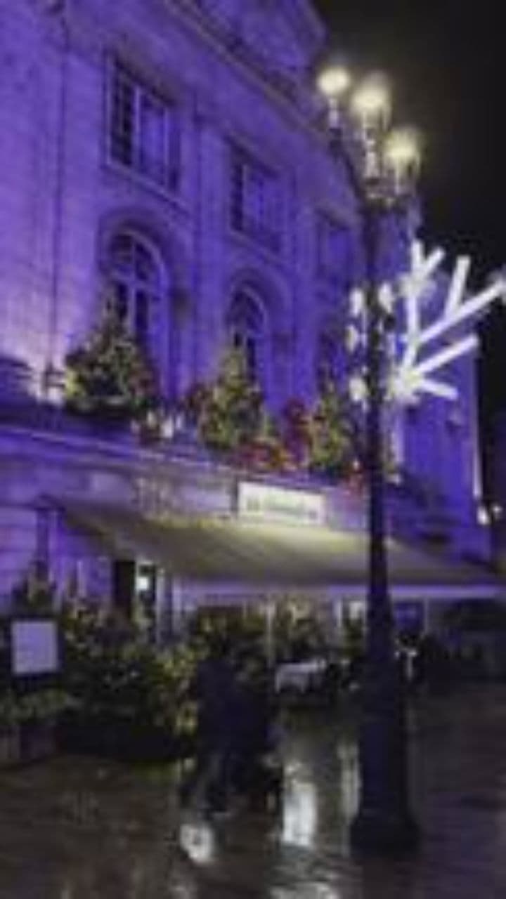 Twelve Days of Christmas with Tutu