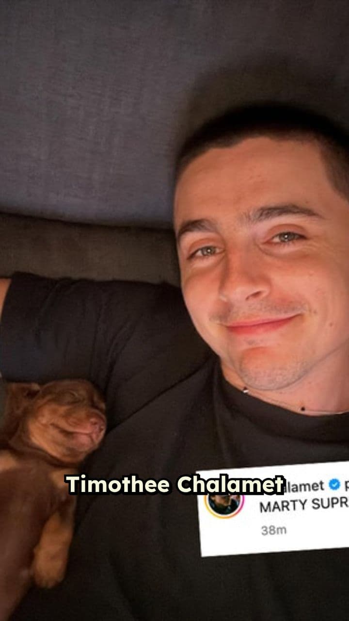 Timothée Chalamet Adopts Adorable Puppy