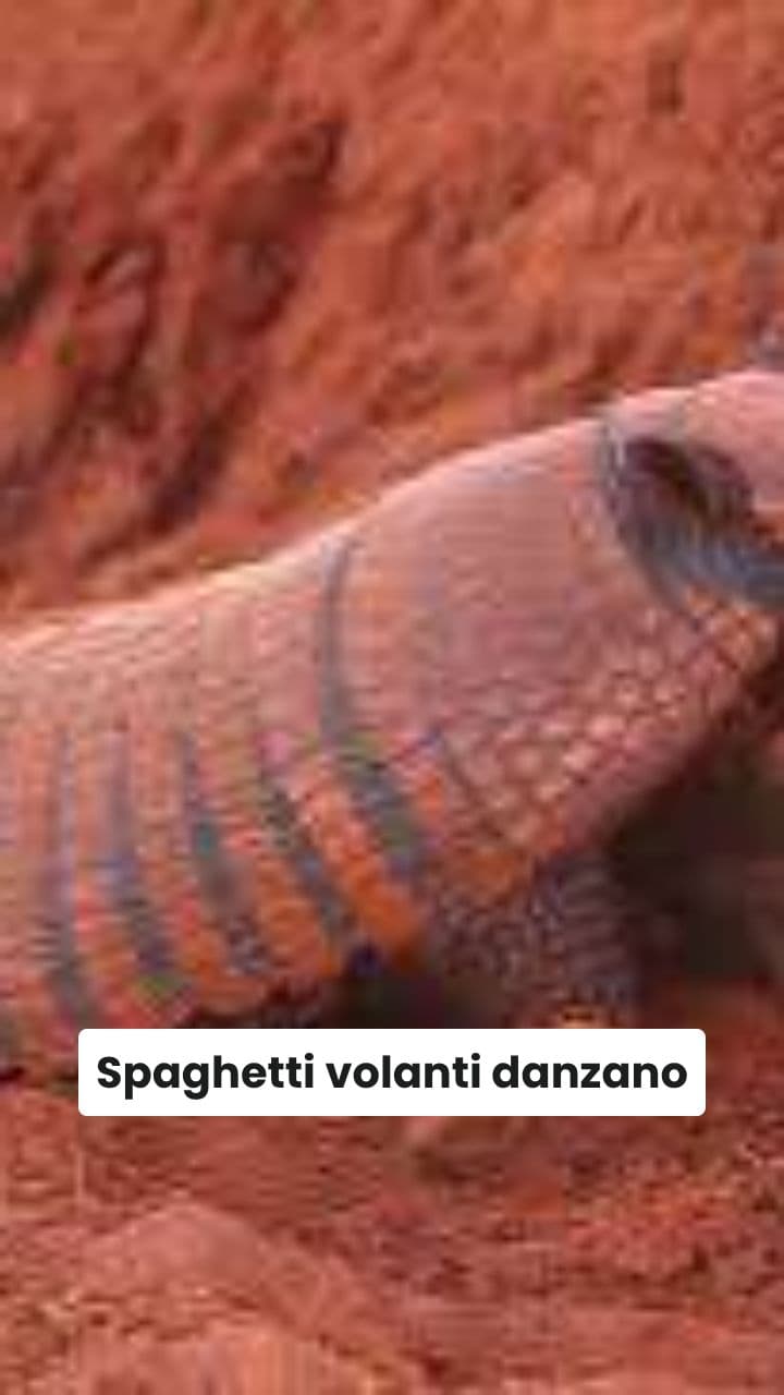 Armadille Fulture: Viaggio nel Brainrot