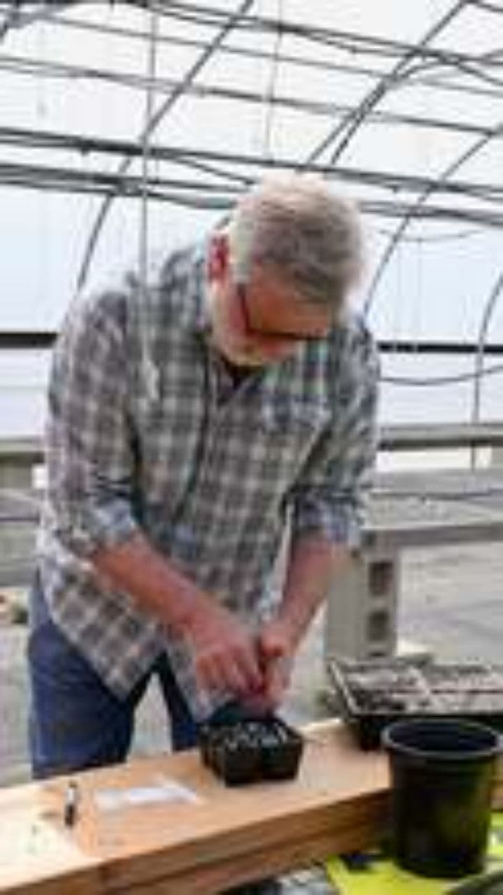 Planting a Seed in a Dry Garden