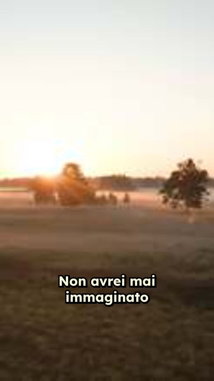 Il pignoramento che salvò la fattoria