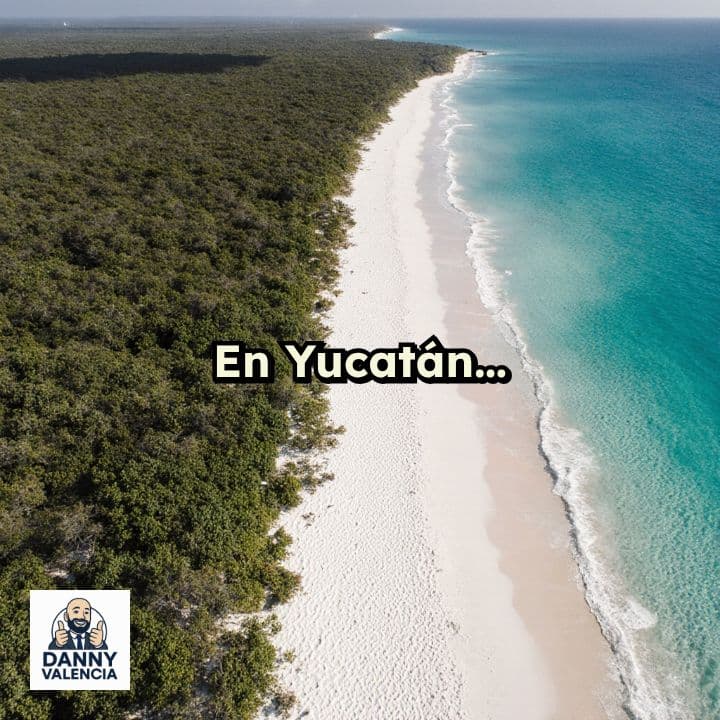 Ecocidio en El Palmar, Yucatán