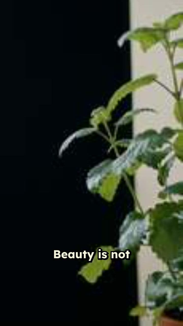 Moroccan Heritage: The Slow Beauty Ritual