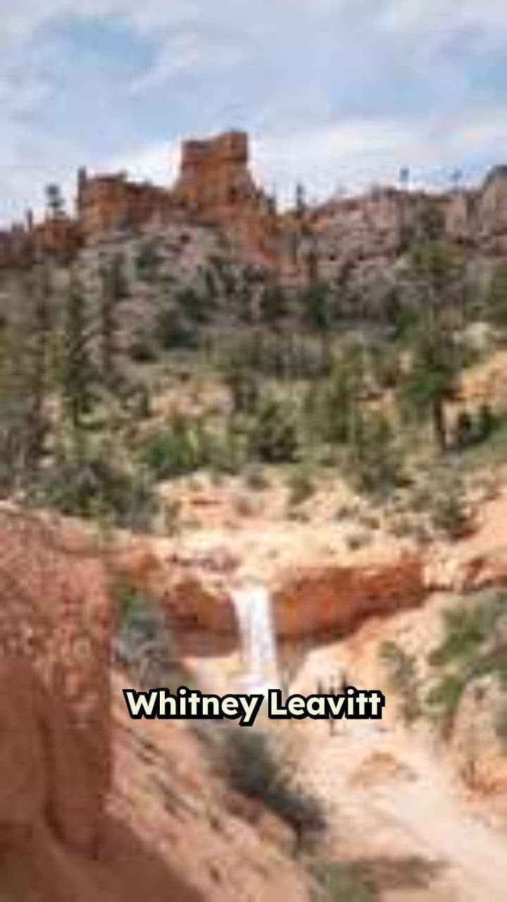 Whitney and Jen's DWTS Feud Escalates