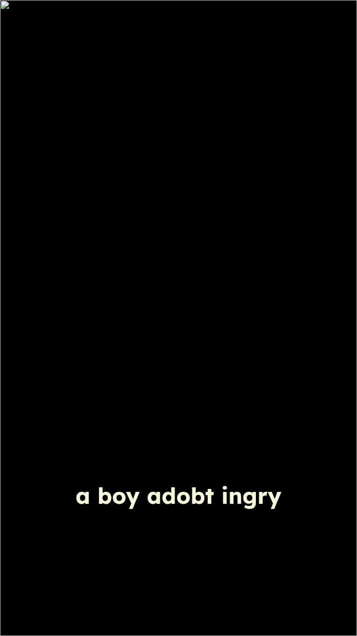 A Boy Adopts an Angry Cat