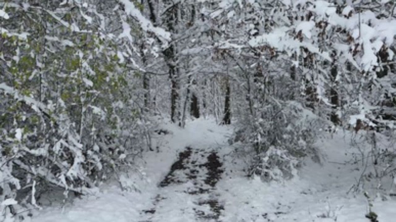 El Regalo del Presente