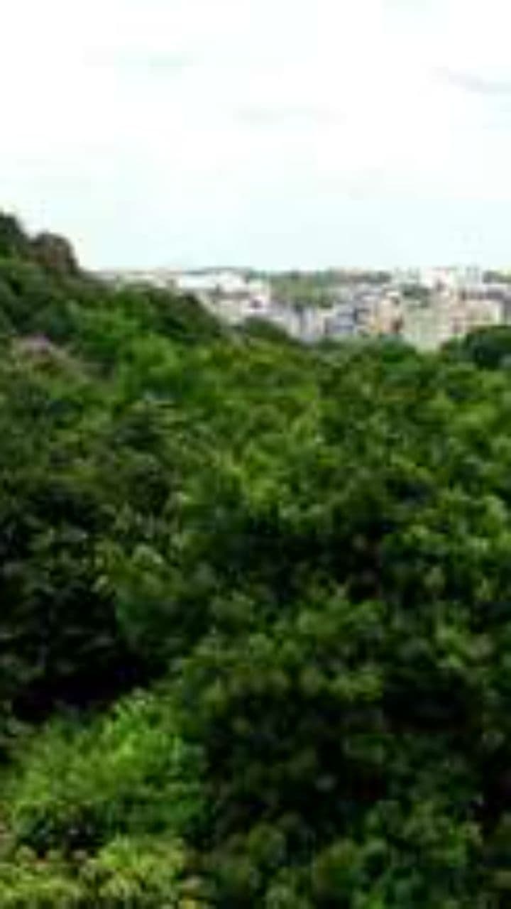 Zabierz z Krakowa swoje brudne gacie