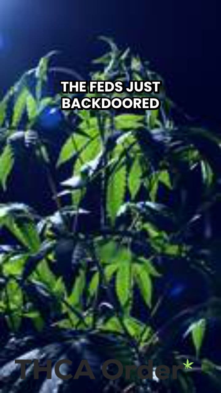 Hemp THC Ban Threatens Veteran Research