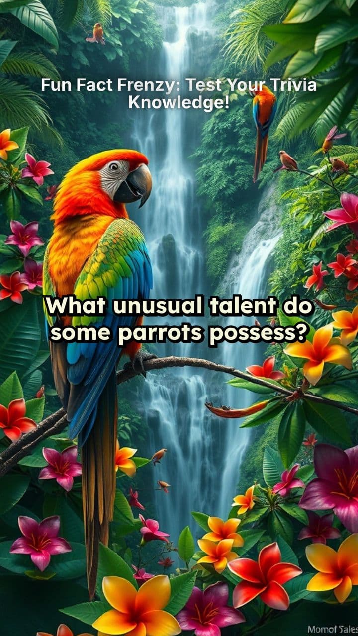 Fun Fact Frenzy: Test Your Trivia Knowledge!