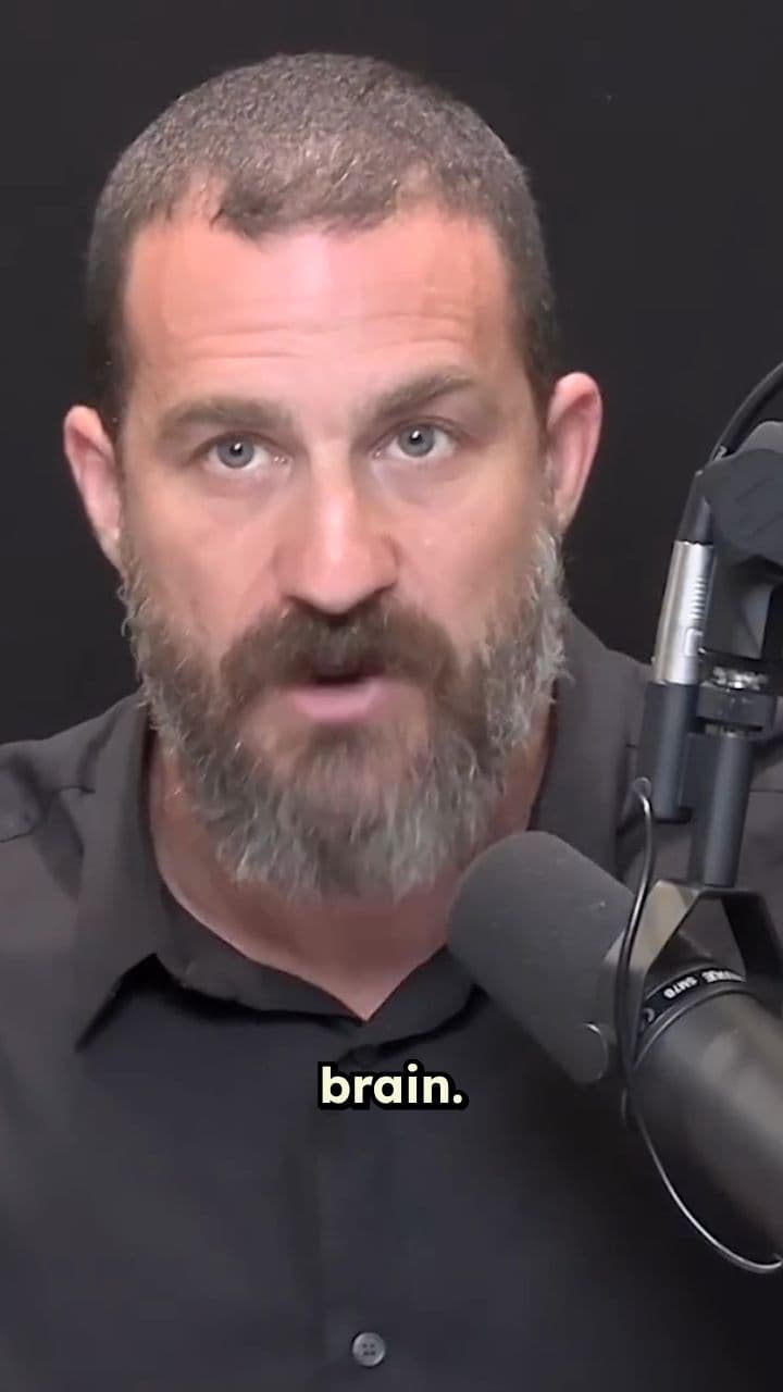 Even Moderate Drinking Damages Your Brain