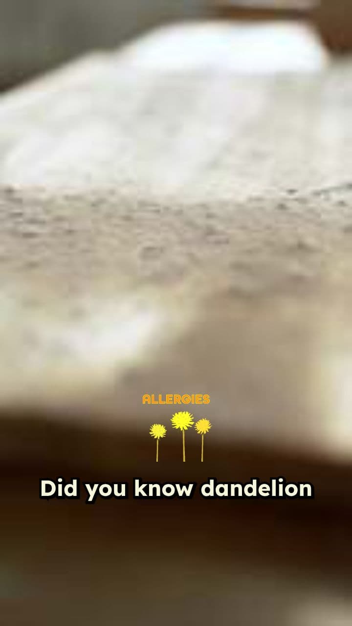 Dandelion Bread: Food That Heals