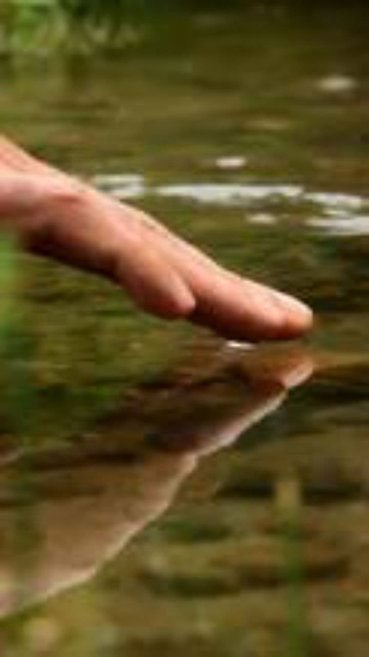 Ritorno al Mare dei Sogni