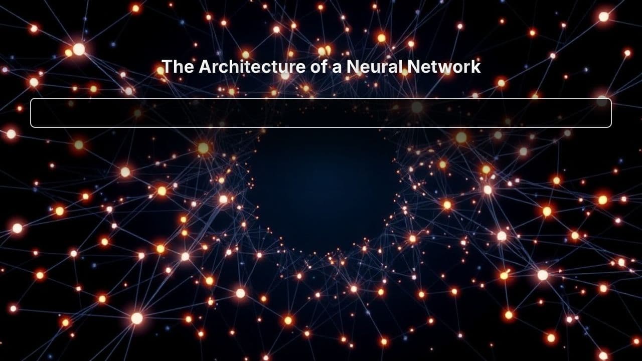 The Architecture of a Neural Network