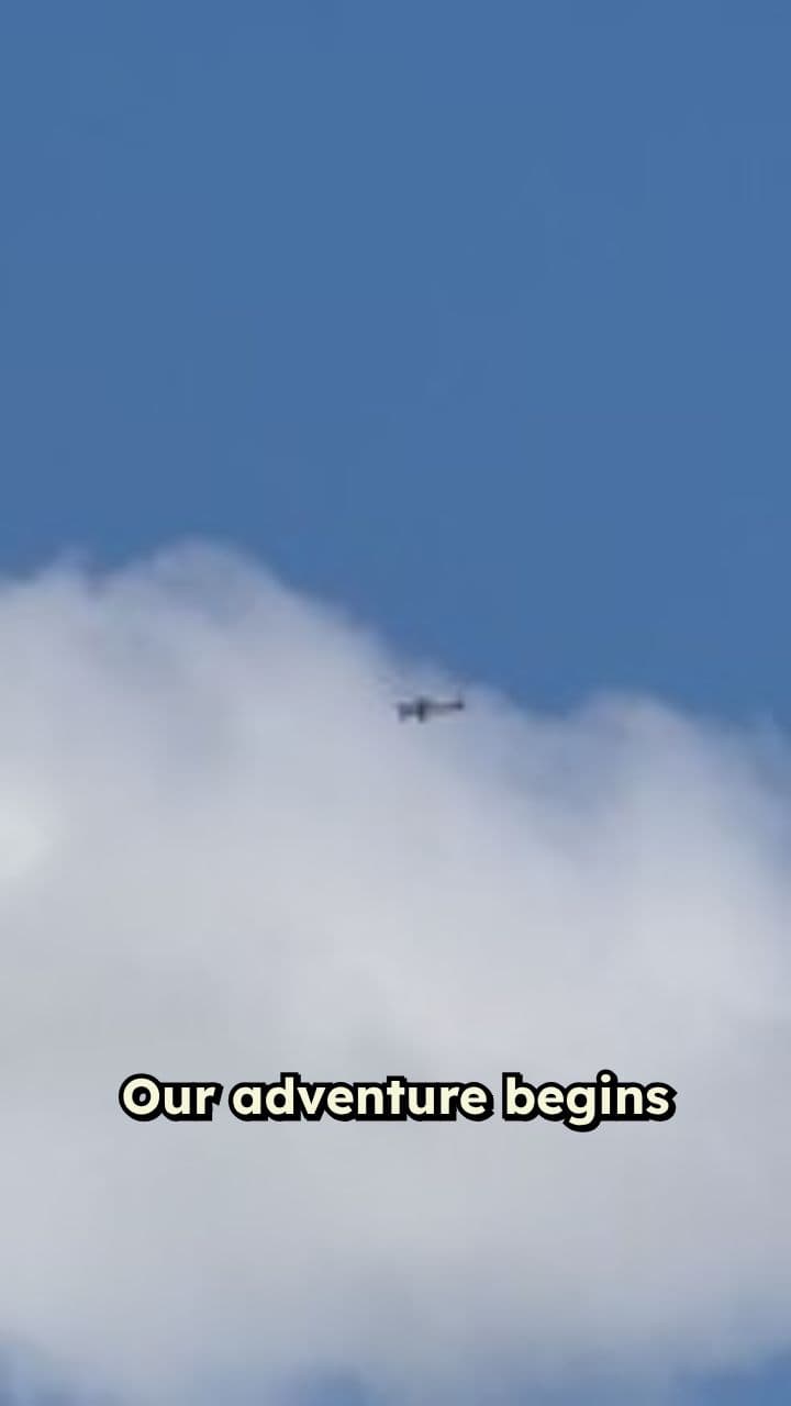 Cloud-Riding Cat's High Five Adventure