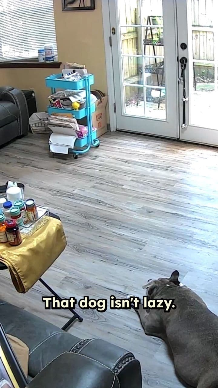 Accidental Relaxation Architecture