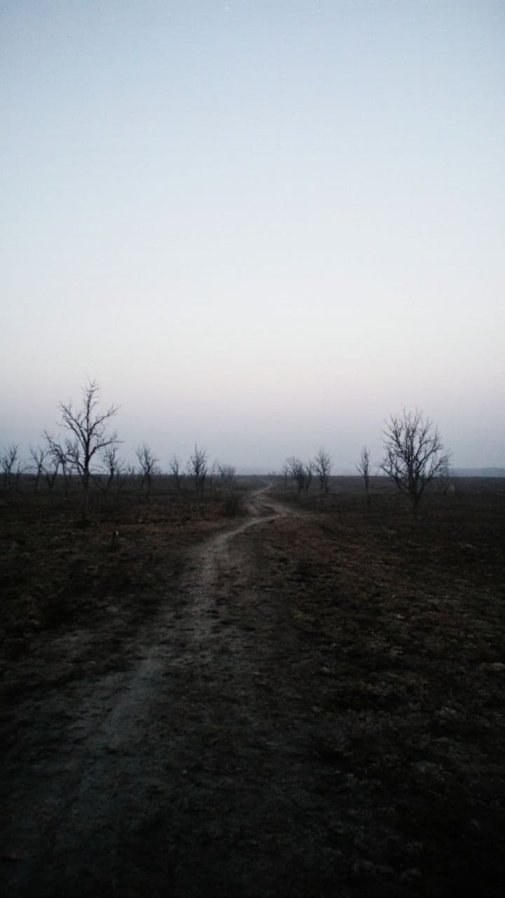 Shadow of the Rising Sun