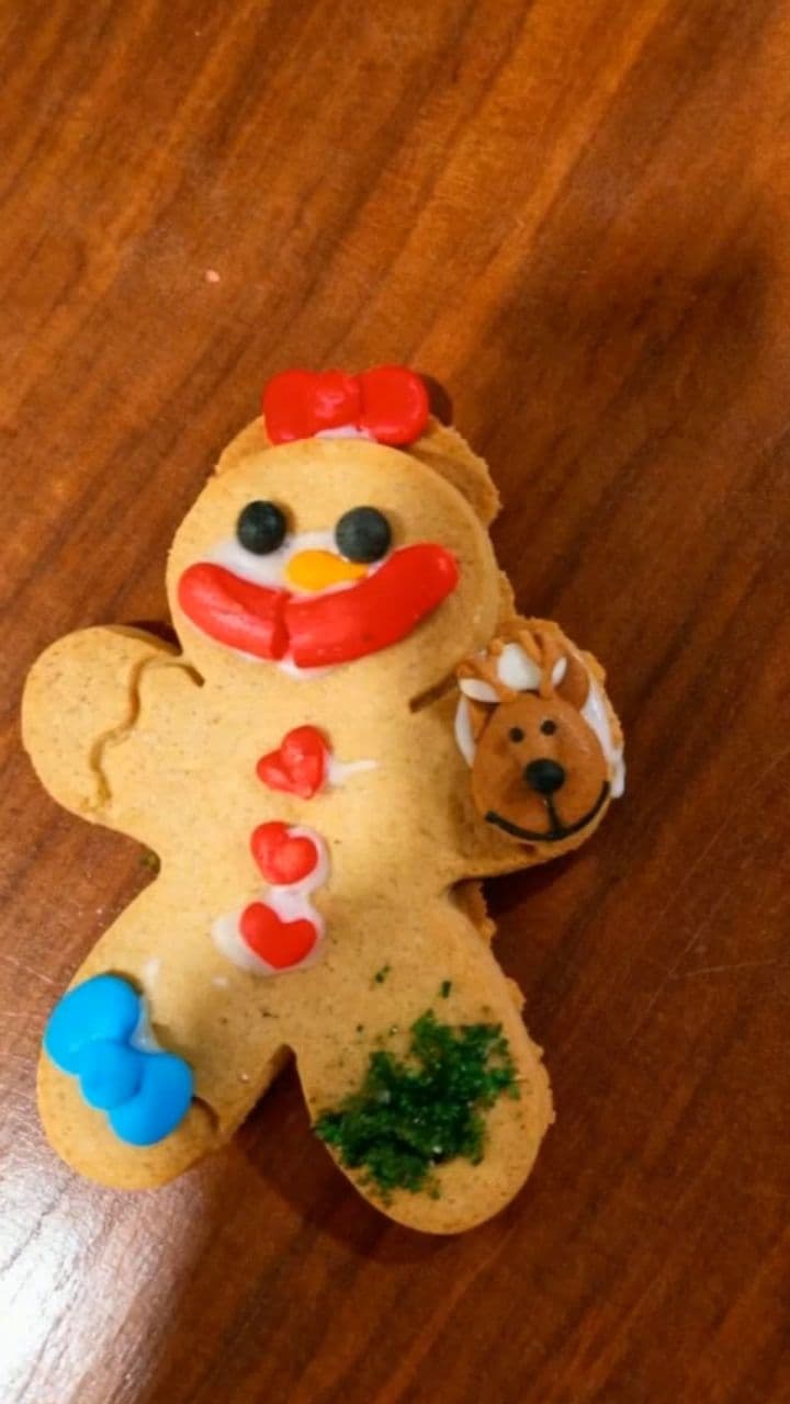 Image transform video