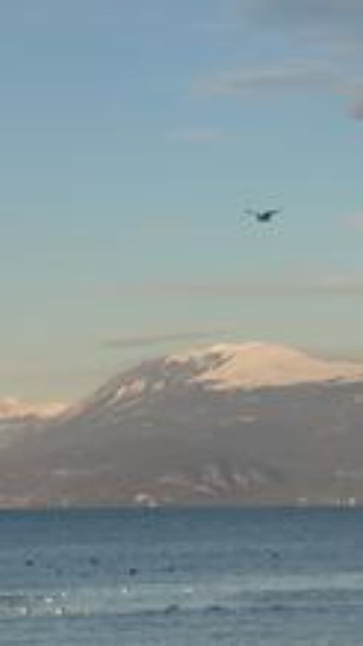 Оксана, моя любовь