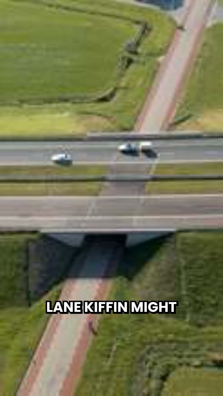 Kiffin's Future: NFL or Ole Miss?