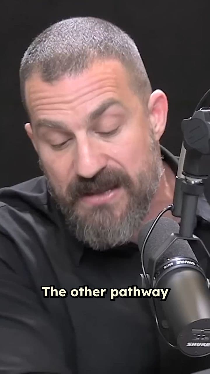 Your Brain's Fear Center Is Wired to Its Reward System