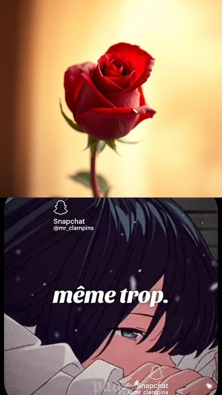 L'amour éphémère et éternel