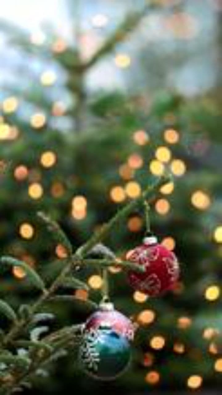 Oddałem Ci serce na święta