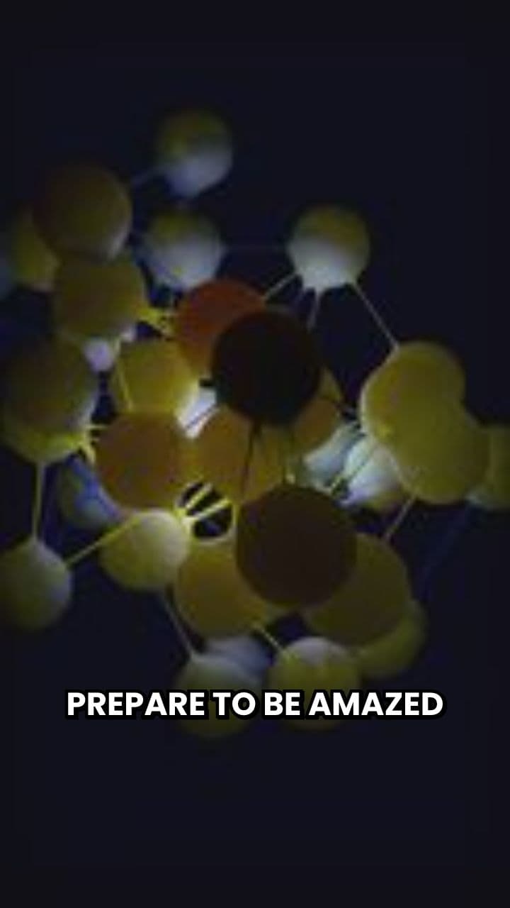 The Race for Life: Sperm's Journey