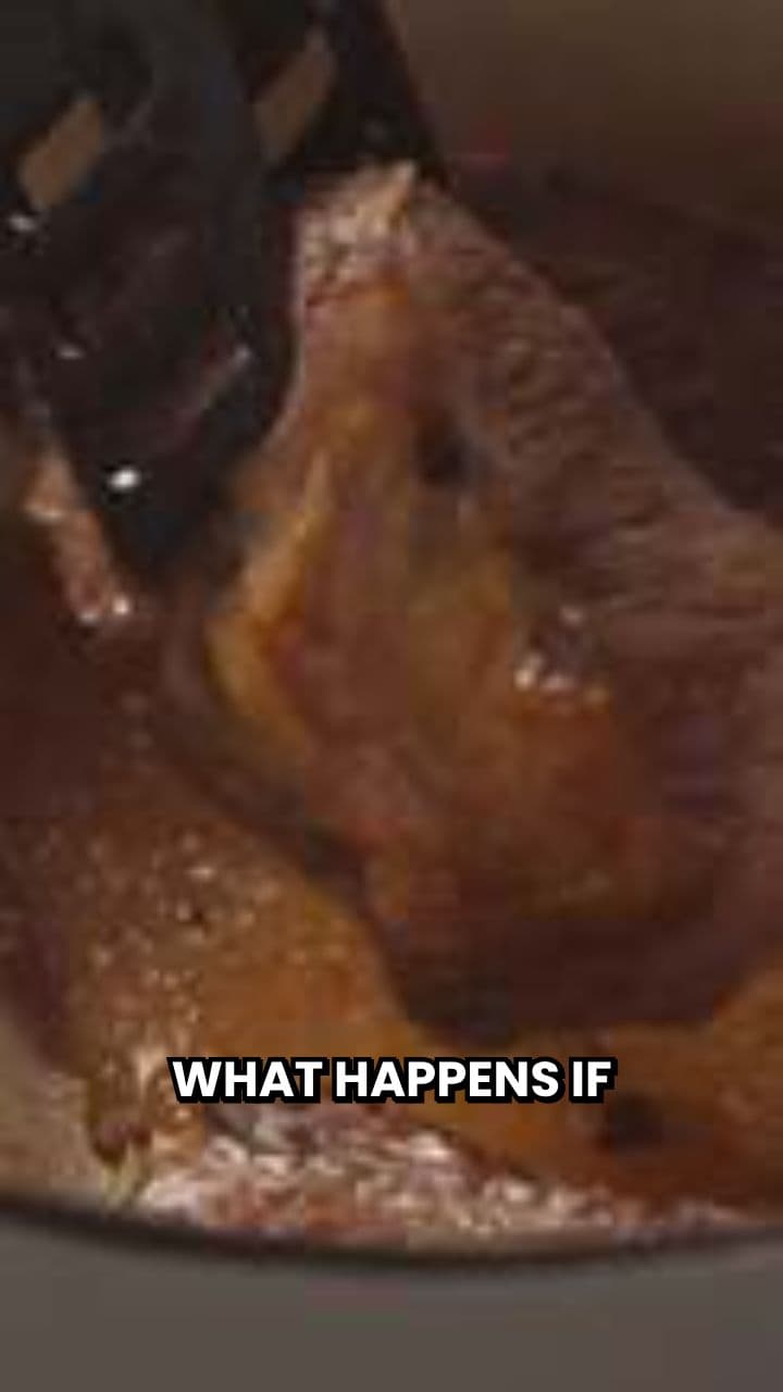 The Carnivore Experiment: One Week Only Meat