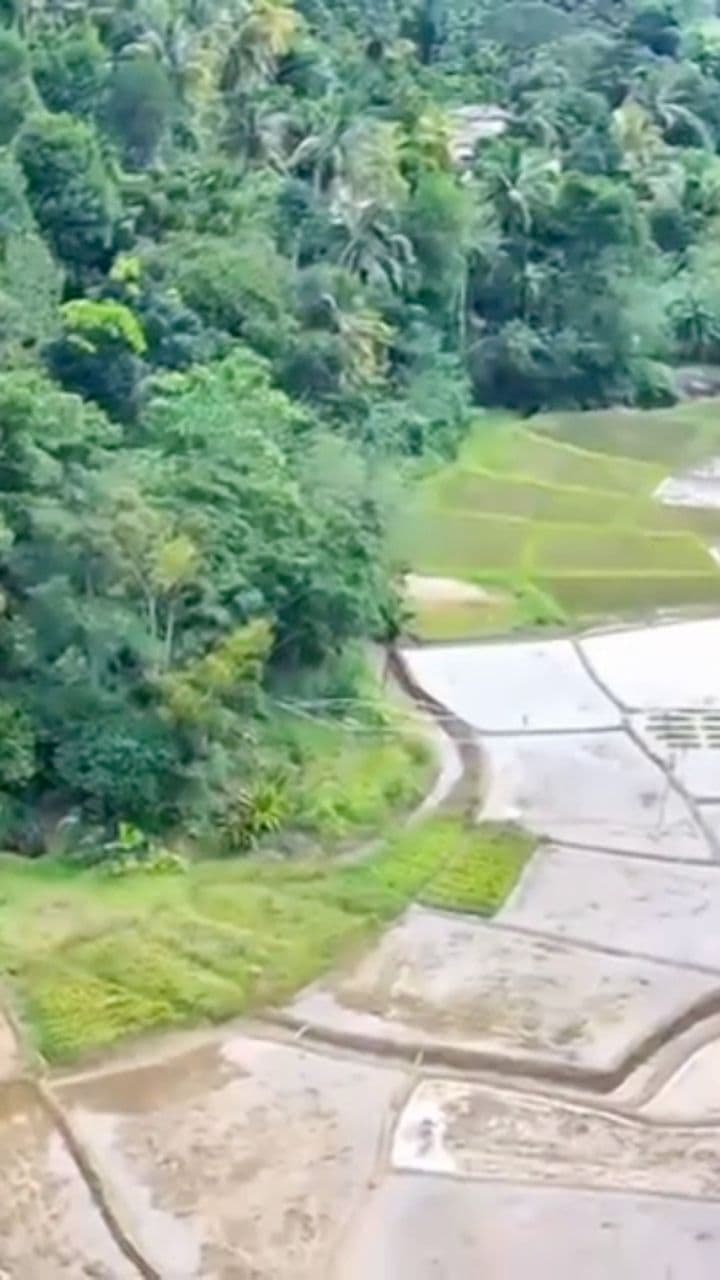 होलसेलर पार्टनरशिपका लागि अनलाइन सेलिंग