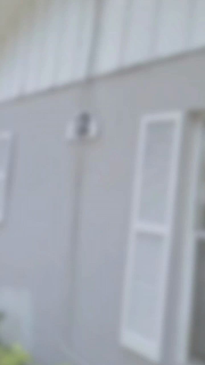 Vive en De Gran Capital