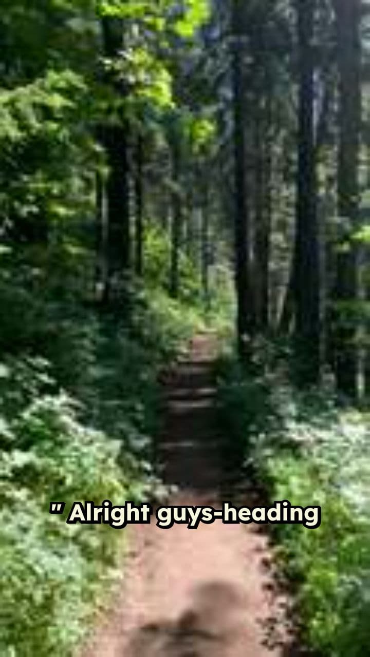 Alpine Adventure: Hiking and Fishing