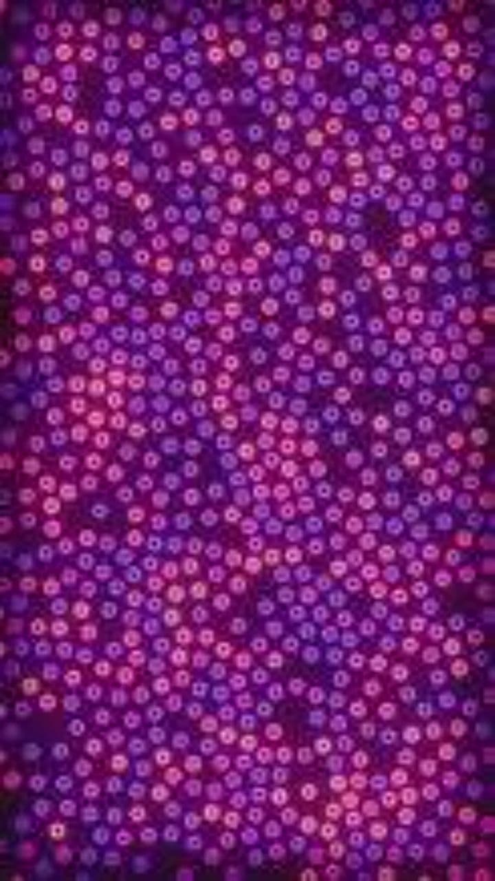 Desert Strings and Drums