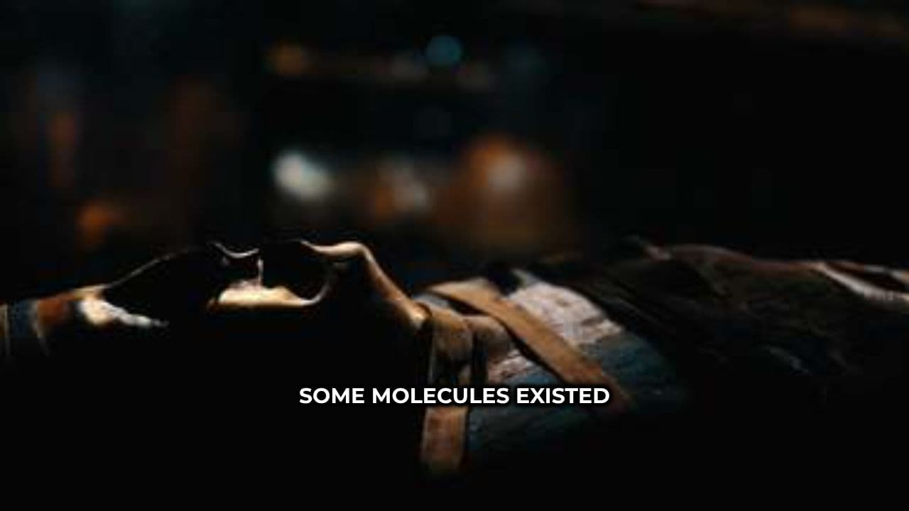 Methylene Blue and Mitochondrial Longevity